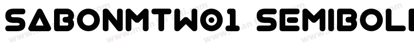 SabonMTW01 SemiboldI字体转换